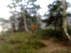 FullSizeRender-5.jpg