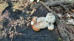 20230909_153032.jpg