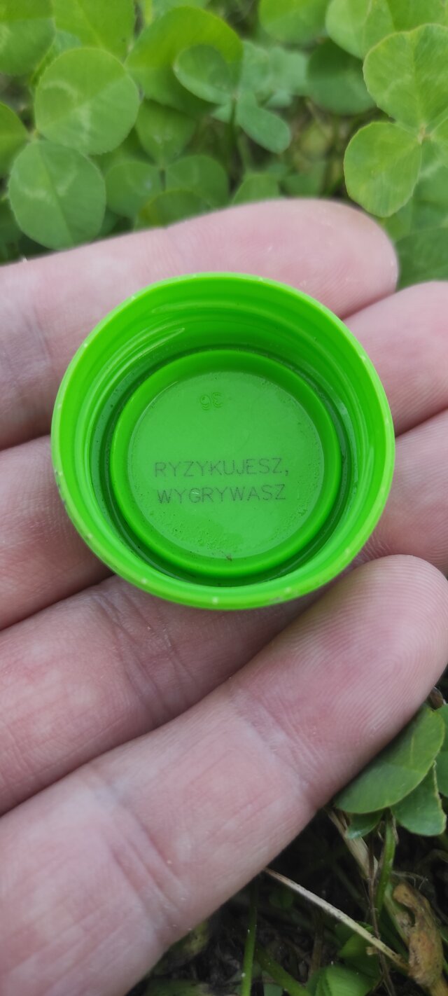 Rozpustnik82
