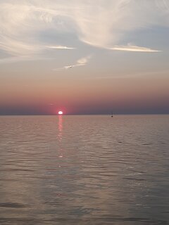 20230909_192102.jpg