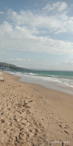 IMG_20230910_090422.jpg
