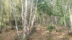 IMG-20230909-WA0014.jpeg