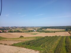 IMG20230910153258.jpg