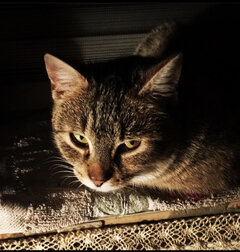 8F6739AC-5924-4188-A7FD-9886EE2F455C.jpeg