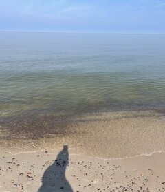 IMG_9656.jpeg