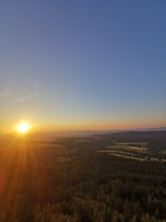 IMG_20230908_190803.jpg