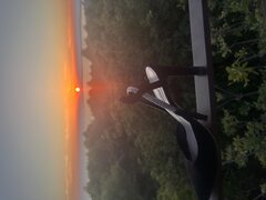 IMG_7196.jpeg