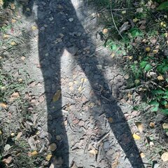 20230913_144826.jpg