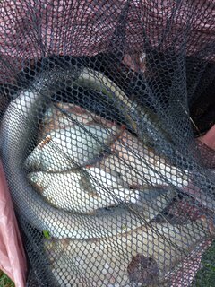 IMG_20230913_111344.jpg