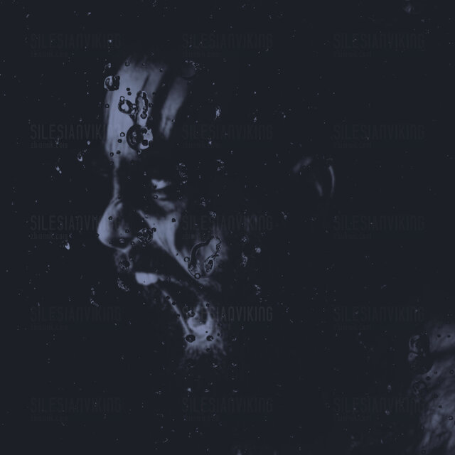 SilesianViking