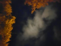 IMG_20230913_220553.jpg