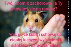 xHamster.jpeg