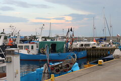 IMG_2345.JPG