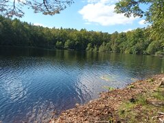 20230915_131009.jpg