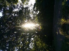 20230916_080724.jpg