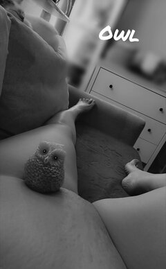 IMG-20230917🦉.jpg