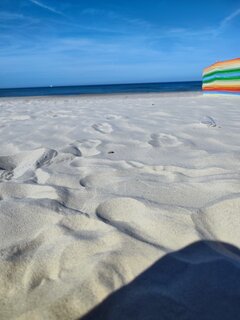 IMG_20230916_140650.jpg