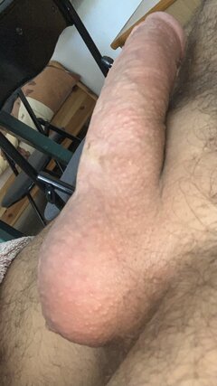 IMG_3463.jpeg