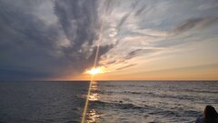 IMG_20210822_194349_1.jpg