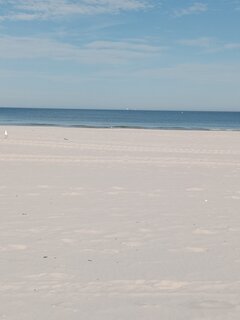 IMG_20230921_112706.jpg