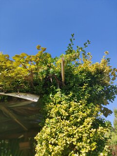 IMG20230921115451.jpg