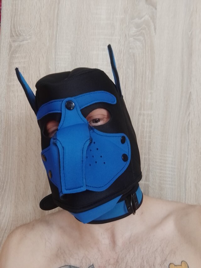 realnypas24