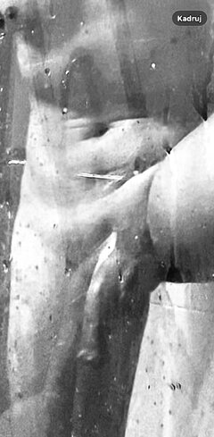 IMG_1896.jpeg