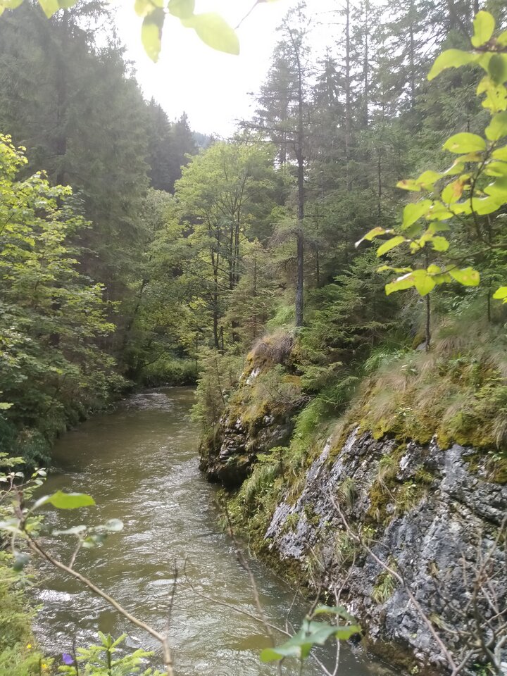 IMG20230810134306.jpg - Barabelo17