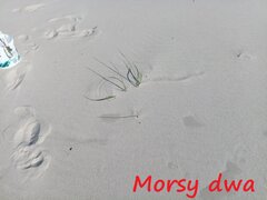 Zbiornik 2251. Jeszcze lato !!!
