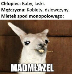 InShot_20230923_163521169.jpg