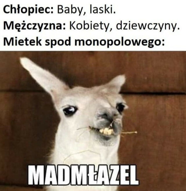 MademoiselleA_37