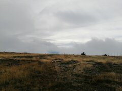 IMG_20230923_131754.jpg