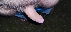 IMG_20230923_232920.jpg