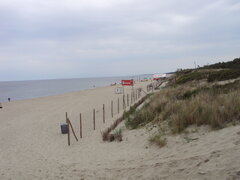 DSC04267.JPG