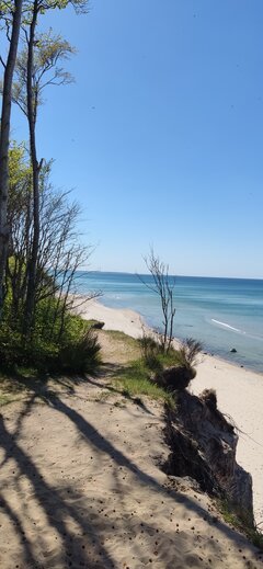 IMG_20230924_093929.jpg