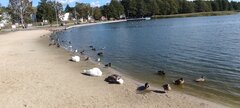 IMG_20230925_122210.jpg