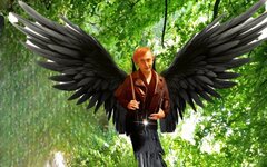 IMG_20230926_062525MAGICCUTOUT.jpg