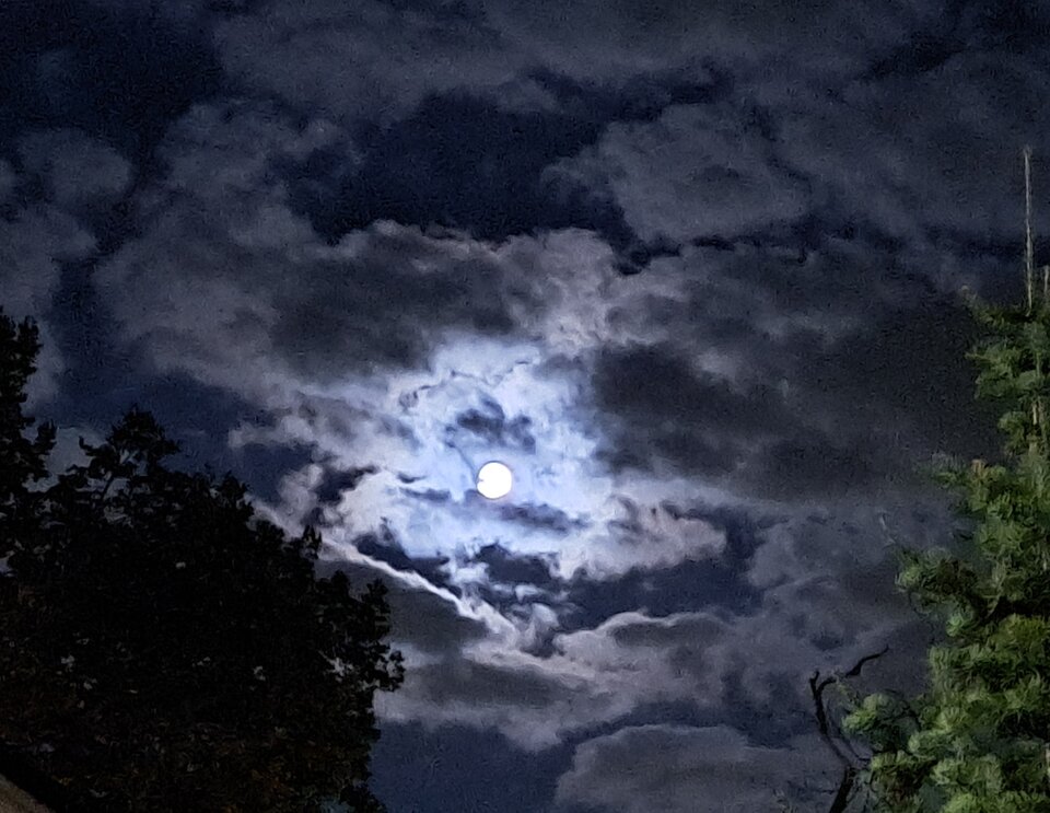 🌃 - P_79