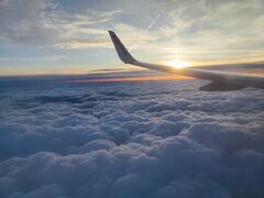 IMG_20230923_193006.jpg