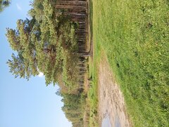 IMG_20230927_143136.jpg