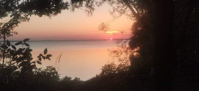 mlody1277