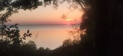 IMG_20230927_182945.jpg