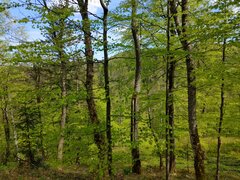 20230514_103305_HDR.jpg