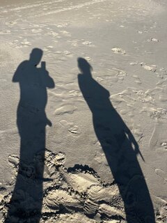 IMG_5286.jpg
