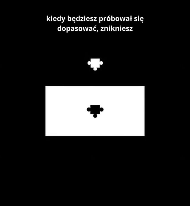 Dawid787878