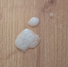 20230928_090231.jpg
