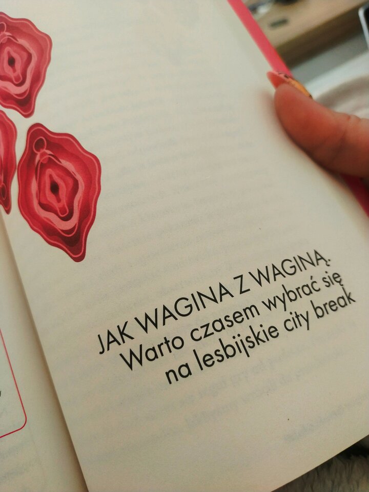 SztukaObslugiWaginy.jpg - hiddendesire
