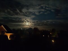 20230929_201153.jpg
