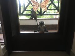 IMG_3355.jpeg