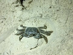 IMG_3085.jpeg